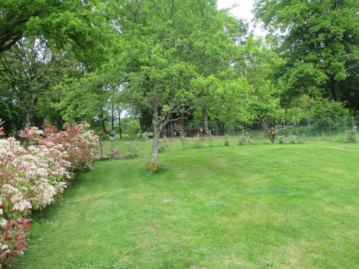 Villa La Griotterie Saint-Amand-en-Puisaye Esterno foto